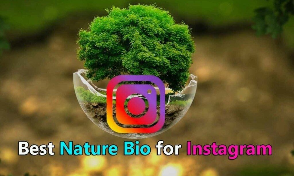 Best Nature Bio for Instagram