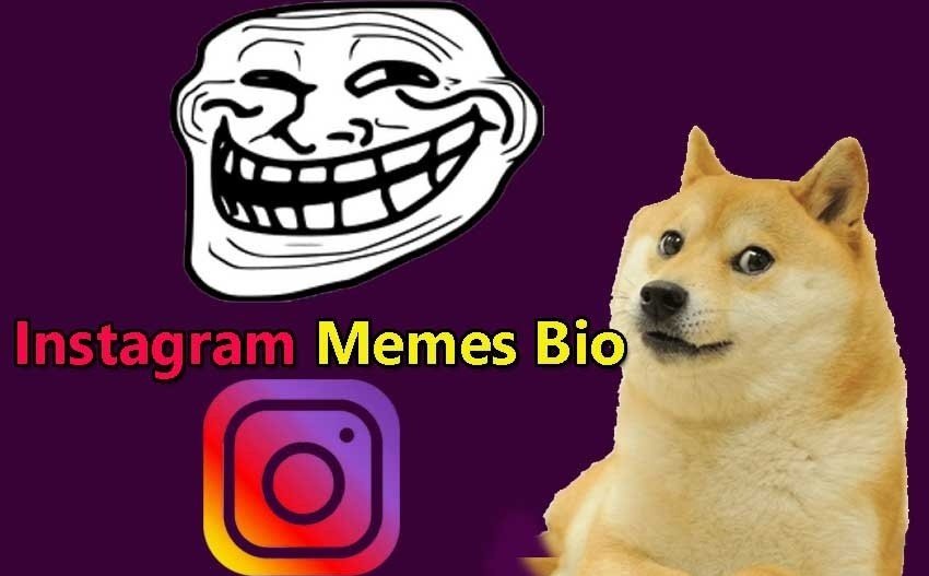 Instagram Memes Bio for Boys & Girls