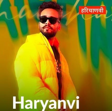Best Instagram Bio in Haryanvi